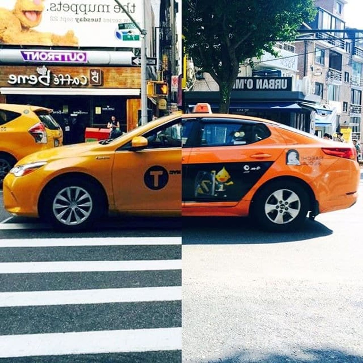 รูปงานแต่ง ภาพคู่สุดซึ้งของคู่รักทางไกล ที่หัวใจอยู่ใกล้กัน