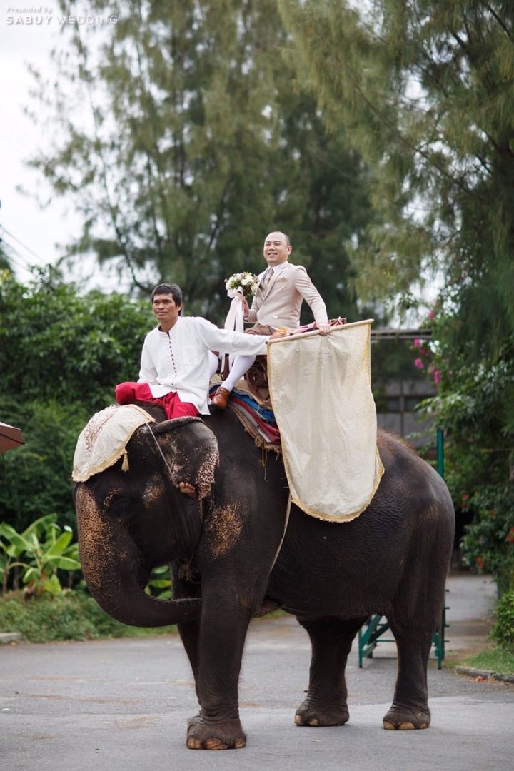 พิธีหมั้น,งานหมั้น,เจ้าบ่าว รีวิวงานแต่ง พิธีการเต็มที่ ปาร์ตี้สุดแซ่บ @Peninsula bangkok