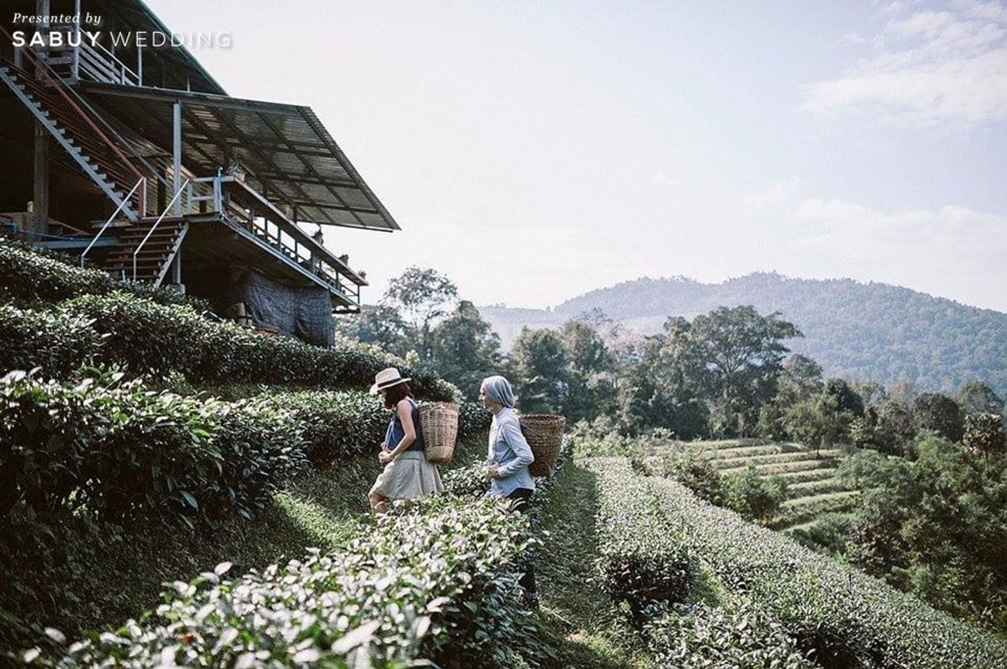 คู่รัก,ถ่ายภาพพรีเวดดิ้ง,ถ่ายพรีเวดดิ้ง,พรีเวดดิ้ง,prewedding,สถานที่ถ่ายพรีเวดดิ้ง,ท่องเที่ยว We Wander Wedding - Pre Wedding Trip Slow Life ท่องไปในชุมชน
