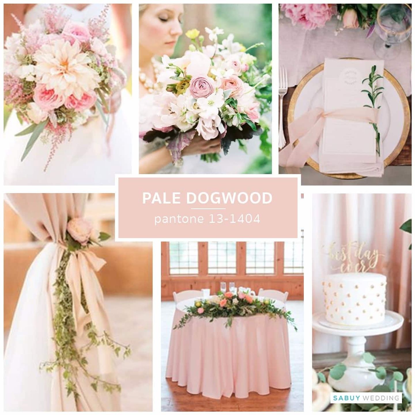 Pantone,Pale Dogwood,เทรนด์สีแต่งงาน อัพเดทเทรนด์สีปี 2017 ปีนี้มีแต่สีแซ่บๆ