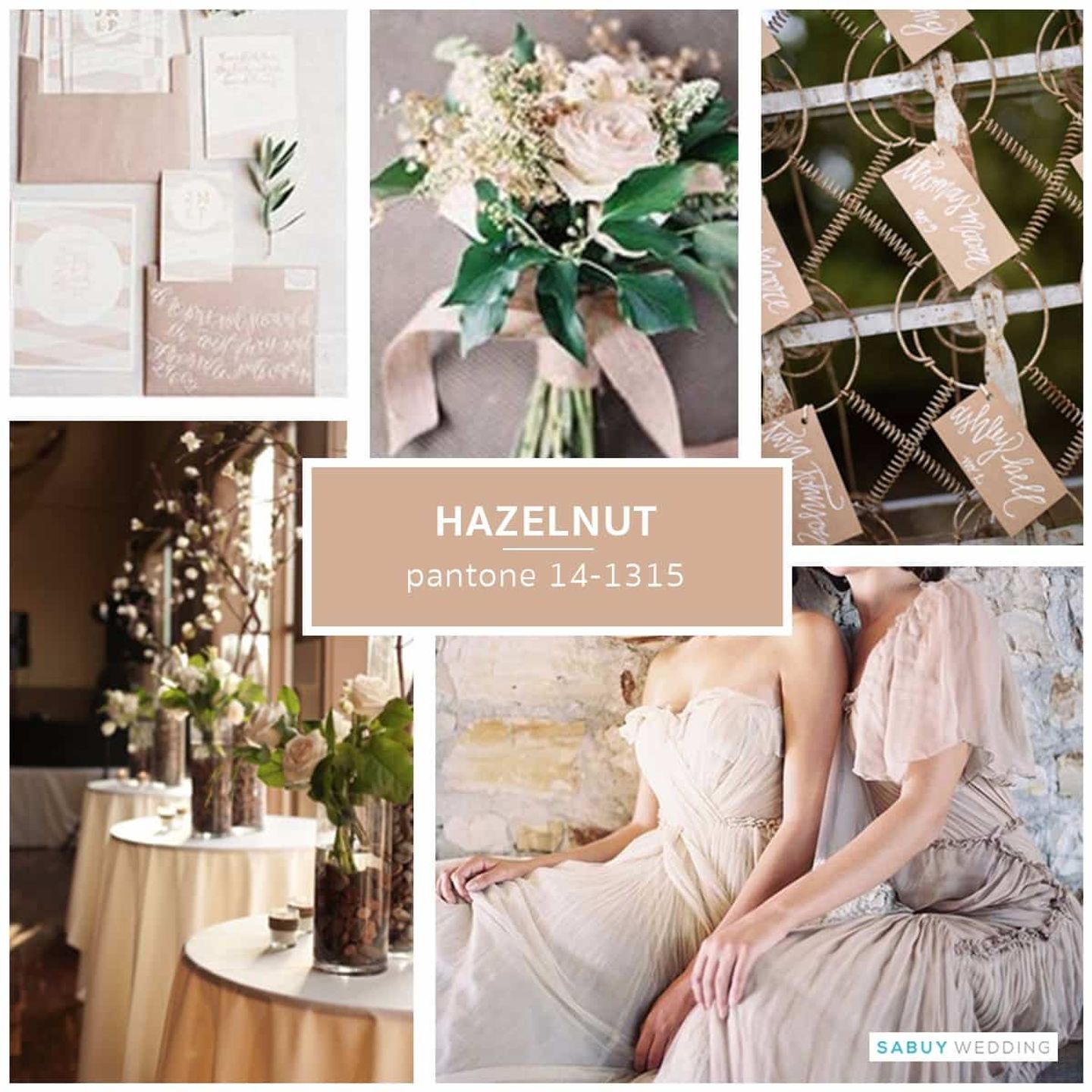 Pantone,Hazelnut,เทรนด์สีแต่งงาน อัพเดทเทรนด์สีปี 2017 ปีนี้มีแต่สีแซ่บๆ