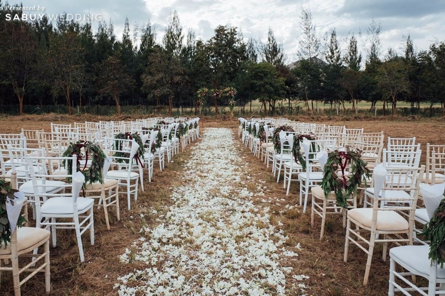 สถานที่แต่งงาน,สถานที่จัดงานแต่งงาน,เก้าอี้,งานแต่งงาน,ตกแต่งงานแต่ง,งานแต่ง outdoor รีวิวงานแต่งเอ้าท์ดอร์สไตล์ฝรั่ง อบอุ่น สุขใจ แขกทุกวัยแฮปปี้ @Mirasierra Khaoyai