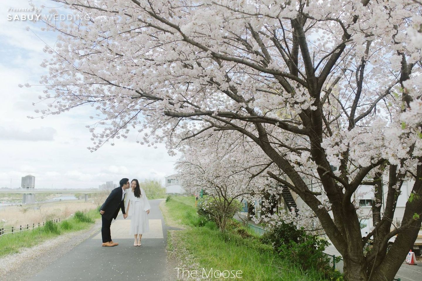 พรีเวดดิ้ง,prewedding,คู่รัก,พรีเวดดิ้งญี่ปุ่น,ญี่ปุ่น,สถานที่ถ่ายพรีเวดดิ้ง,ถ่ายพรีเวดดิ้ง พรีเวดดิ้งญี่ปุ่นในโลเคชั่นไม่ซ้ำใคร ใต้สายลมแห่งซากุระ by The Moose Grapher