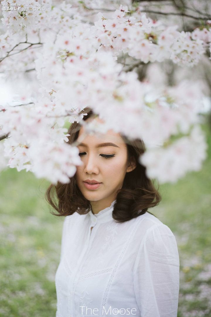 พรีเวดดิ้ง,prewedding,พรีเวดดิ้งญี่ปุ่น,ญี่ปุ่น,สถานที่ถ่ายพรีเวดดิ้ง,ถ่ายพรีเวดดิ้ง พรีเวดดิ้งญี่ปุ่นในโลเคชั่นไม่ซ้ำใคร ใต้สายลมแห่งซากุระ by The Moose Grapher