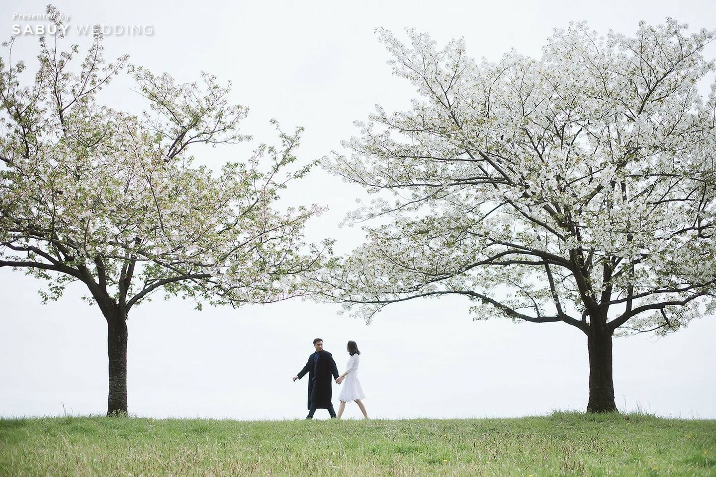 พรีเวดดิ้ง,prewedding,คู่รัก,พรีเวดดิ้งญี่ปุ่น,ญี่ปุ่น,สถานที่ถ่ายพรีเวดดิ้ง,ถ่ายพรีเวดดิ้ง พรีเวดดิ้งญี่ปุ่นในโลเคชั่นไม่ซ้ำใคร ใต้สายลมแห่งซากุระ by The Moose Grapher