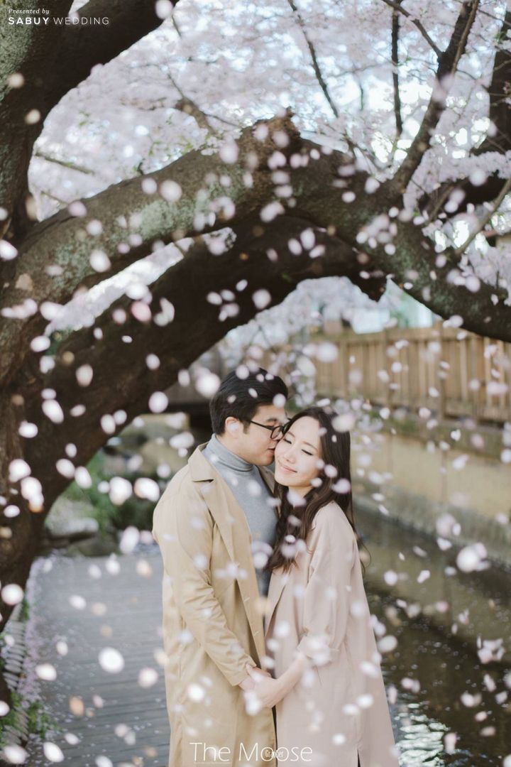 พรีเวดดิ้ง,prewedding,คู่รัก,พรีเวดดิ้งญี่ปุ่น,ถ่ายพรีเวดดิ้ง พรีเวดดิ้งญี่ปุ่นในโลเคชั่นไม่ซ้ำใคร ใต้สายลมแห่งซากุระ by The Moose Grapher