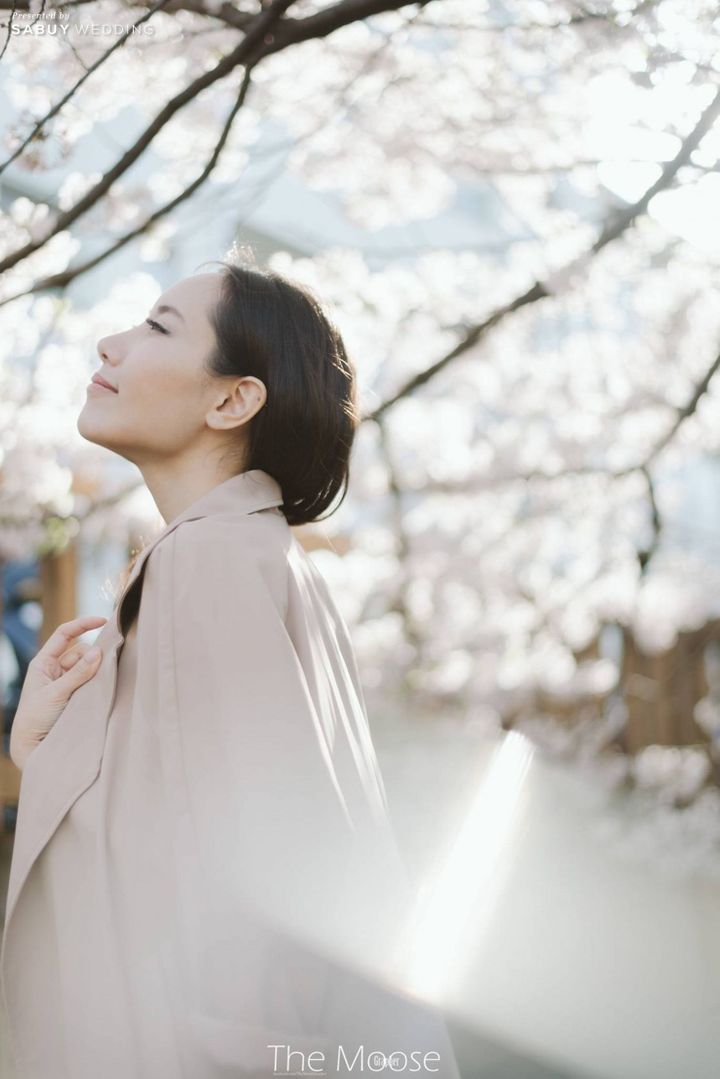 พรีเวดดิ้ง,prewedding,ถ่ายพรีเวดดิ้ง พรีเวดดิ้งญี่ปุ่นในโลเคชั่นไม่ซ้ำใคร ใต้สายลมแห่งซากุระ by The Moose Grapher