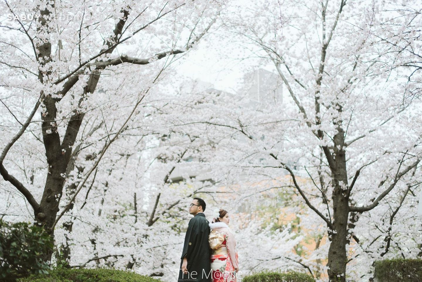 พรีเวดดิ้ง,prewedding,คู่รัก,พรีเวดดิ้งญี่ปุ่น,ญี่ปุ่น,สถานที่ถ่ายพรีเวดดิ้ง,ถ่ายพรีเวดดิ้ง พรีเวดดิ้งญี่ปุ่นในโลเคชั่นไม่ซ้ำใคร ใต้สายลมแห่งซากุระ by The Moose Grapher