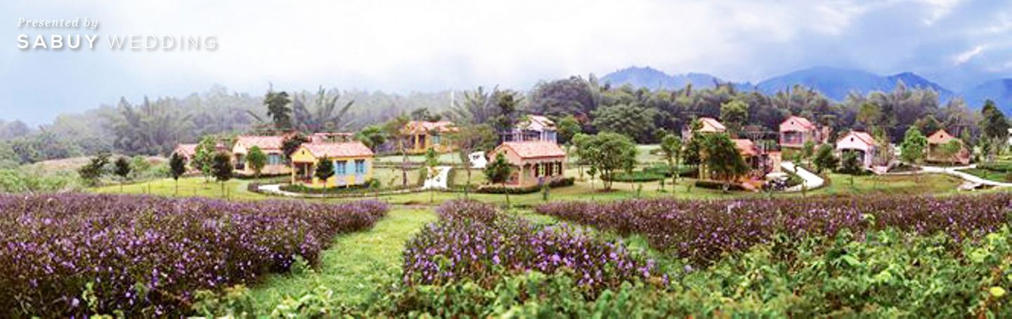 ทริป,ท่องเที่ยว,สถานที่ถ่ายพรีเว็ดดิ้ง,ที่พัก,โรงแรม 8 ที่เที่ยวเด็ด ได้รูปสวยจนเพื่อนอิจฉา! เดินทางใกล้ๆ แต่ได้อารมณ์เมืองนอก