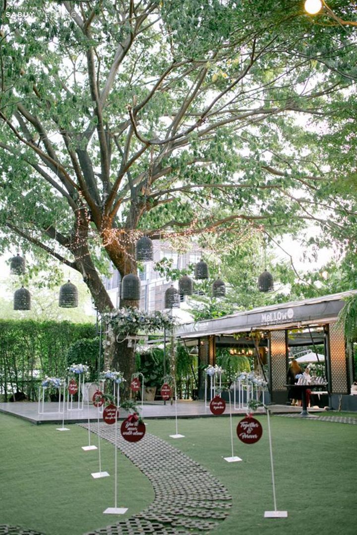 งานแต่งงาน,งานแต่งในสวน,งานแต่ง outdoor,ตกแต่งงานแต่ง,เวทีงานแต่ง งานแต่ง Outdoor อบอุ่น กลิ่นอายธรรมชาติ by Serendipity Wedding House