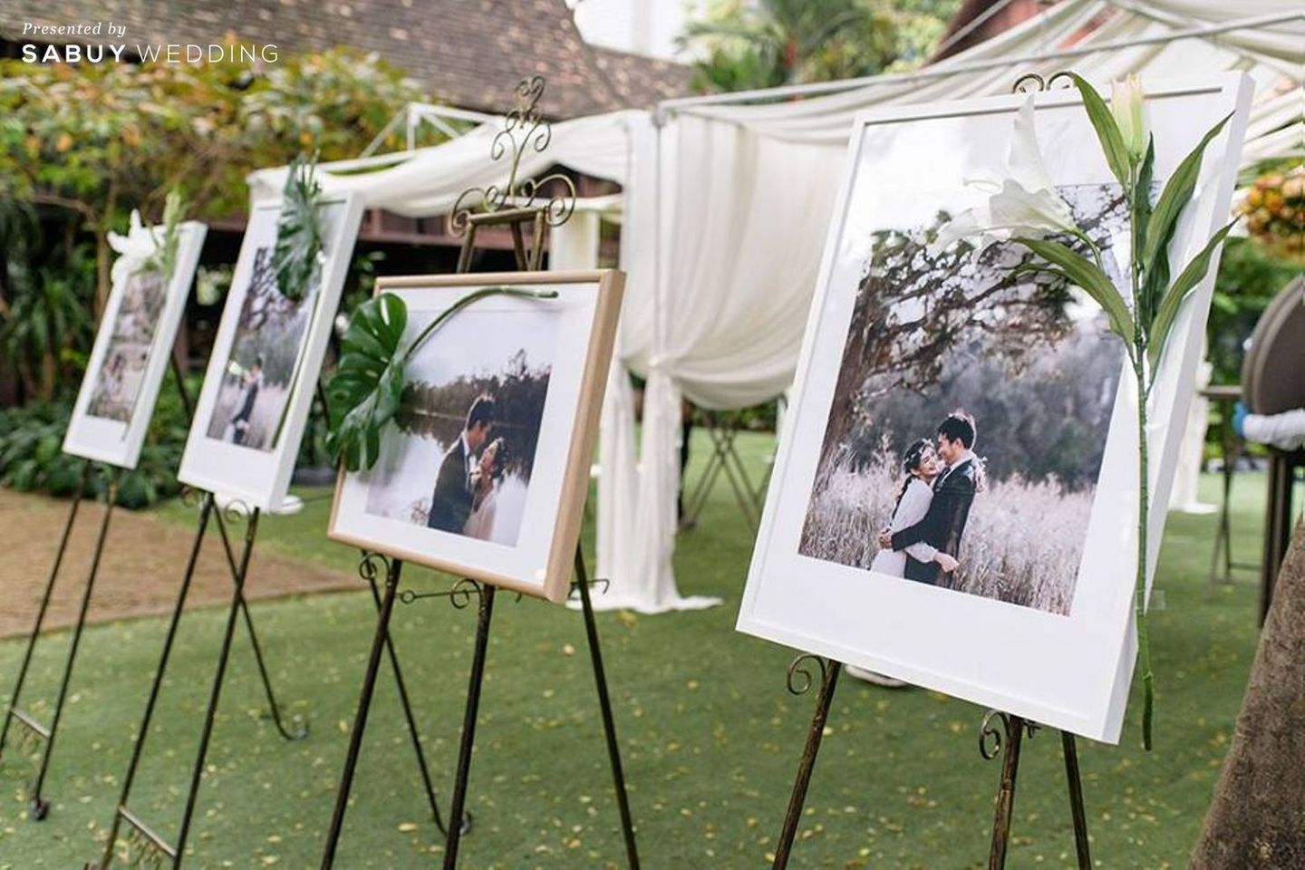 งานแต่งงาน,ตกแต่งงานแต่ง,แกลลอรี่ Primmrose Wedding Planner งานดอกไม้สวยสดใส ในพิธีหมั้นยกน้ำชา