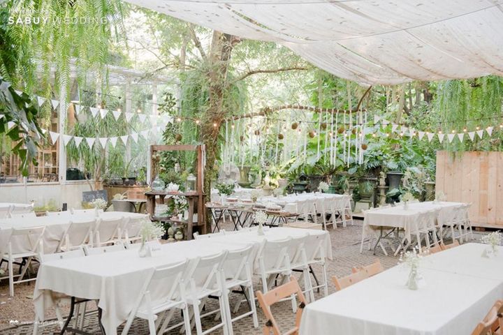 undefined รีวิวงานแต่งในสวน 'Less is More' สวยได้ไม่ต้องตกแต่งเยอะ @Little Tree Garden