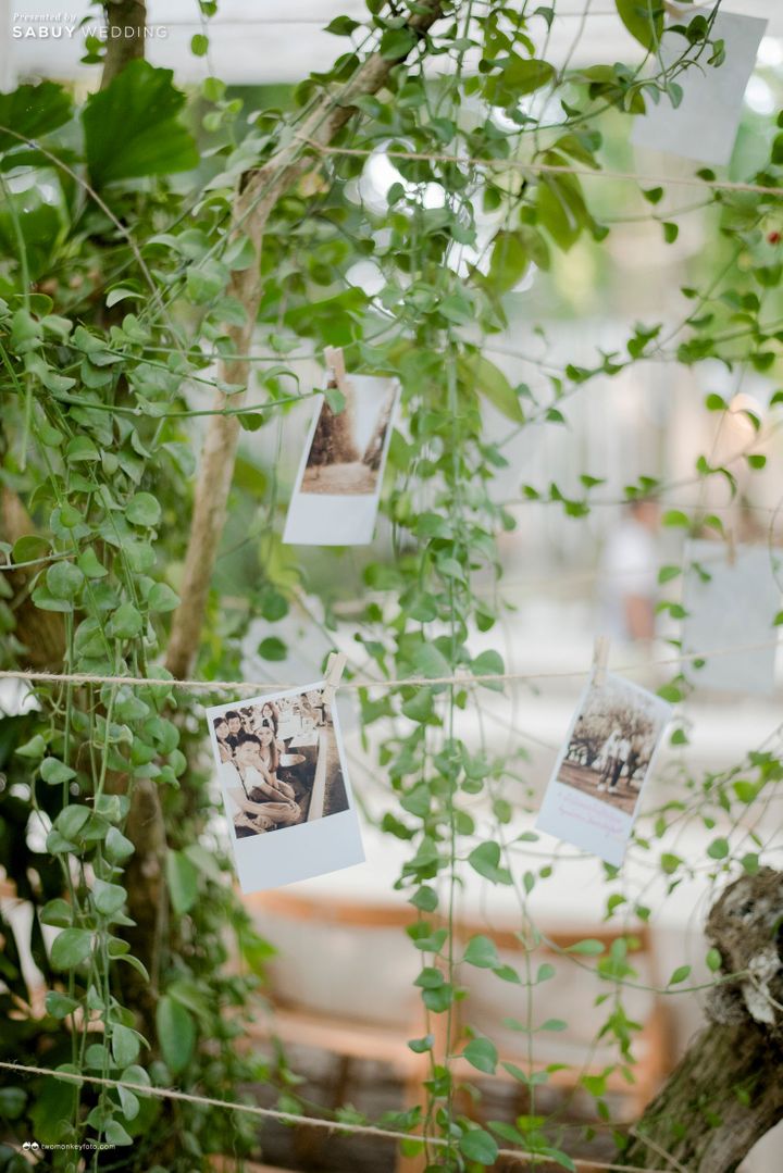 undefined รีวิวงานแต่งในสวน 'Less is More' สวยได้ไม่ต้องตกแต่งเยอะ @Little Tree Garden