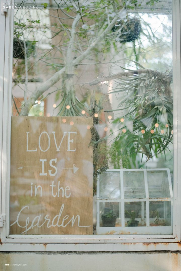 undefined รีวิวงานแต่งในสวน 'Less is More' สวยได้ไม่ต้องตกแต่งเยอะ @Little Tree Garden