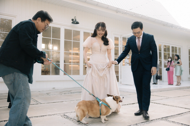  7 สถานที่แต่งงาน Pet Friendly ที่นำสัตว์เลี้ยงเข้าได้!