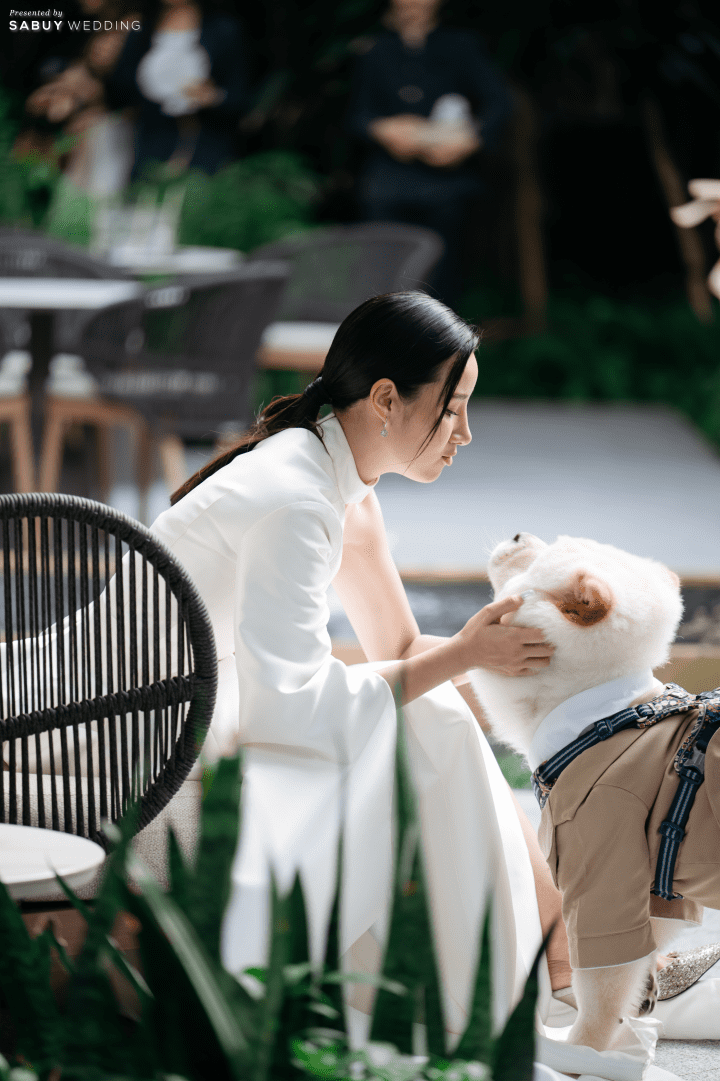  7 สถานที่แต่งงาน Pet Friendly ที่นำสัตว์เลี้ยงเข้าได้!