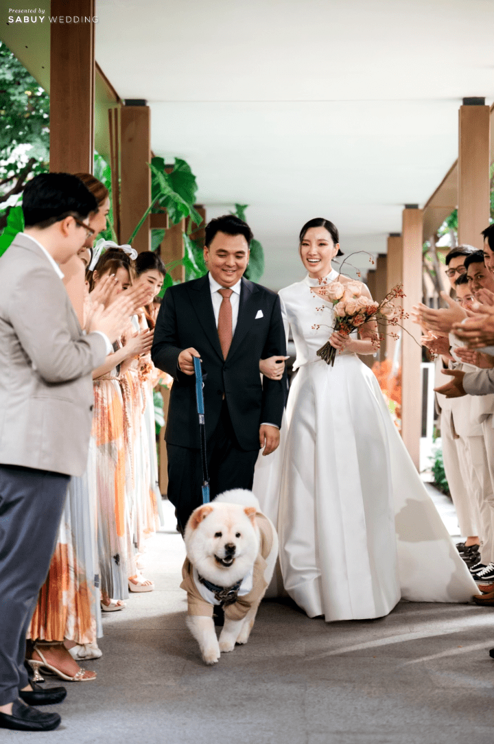  7 สถานที่แต่งงาน Pet Friendly ที่นำสัตว์เลี้ยงเข้าได้!