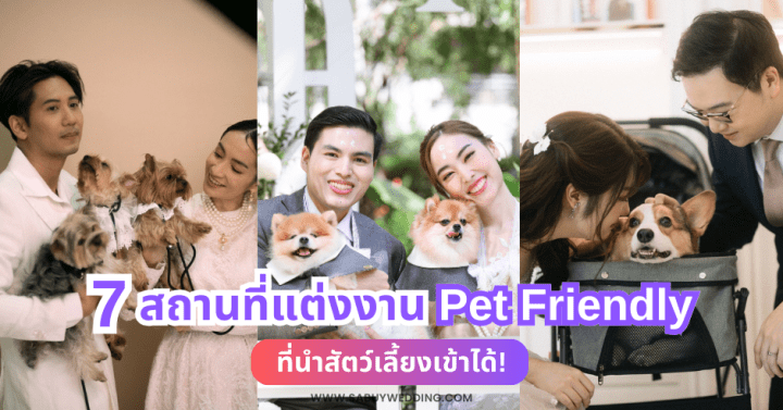  7 สถานที่แต่งงาน Pet Friendly ที่นำสัตว์เลี้ยงเข้าได้!