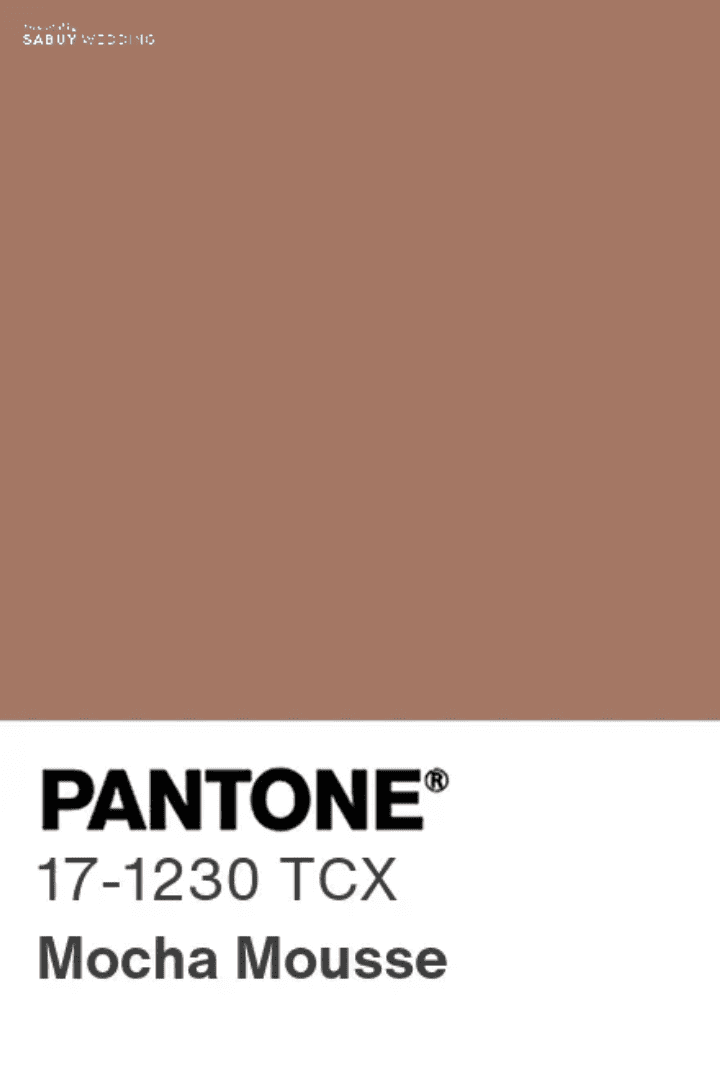  5 ไอเดียจัดงานแต่งสี Pantone 2025