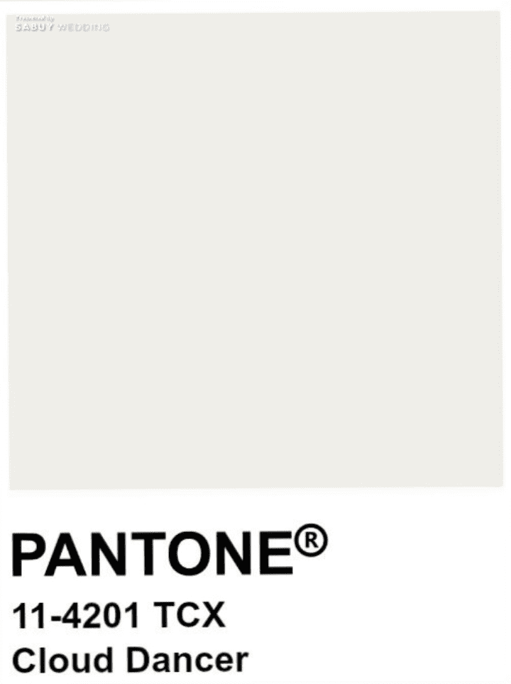 5 ไอเดียจัดงานแต่งโทน Cloud Dancer สี Pantone 2026