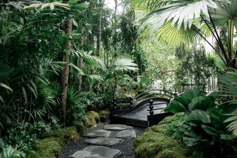 Anantara Siam Bangkok Hotel