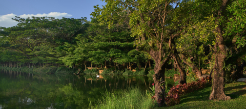InterContinental Khao Yai Resort