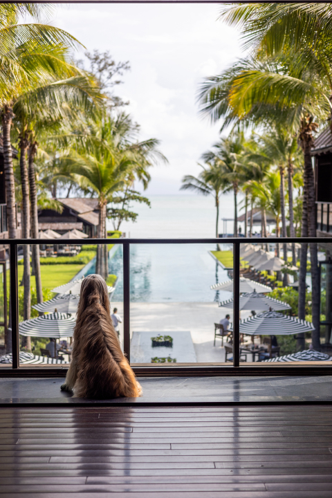 Kimpton Kitalay Samui 