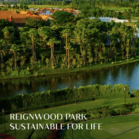 Reignwoodpark