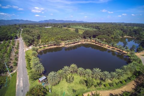 Suanphung Bonsai Village